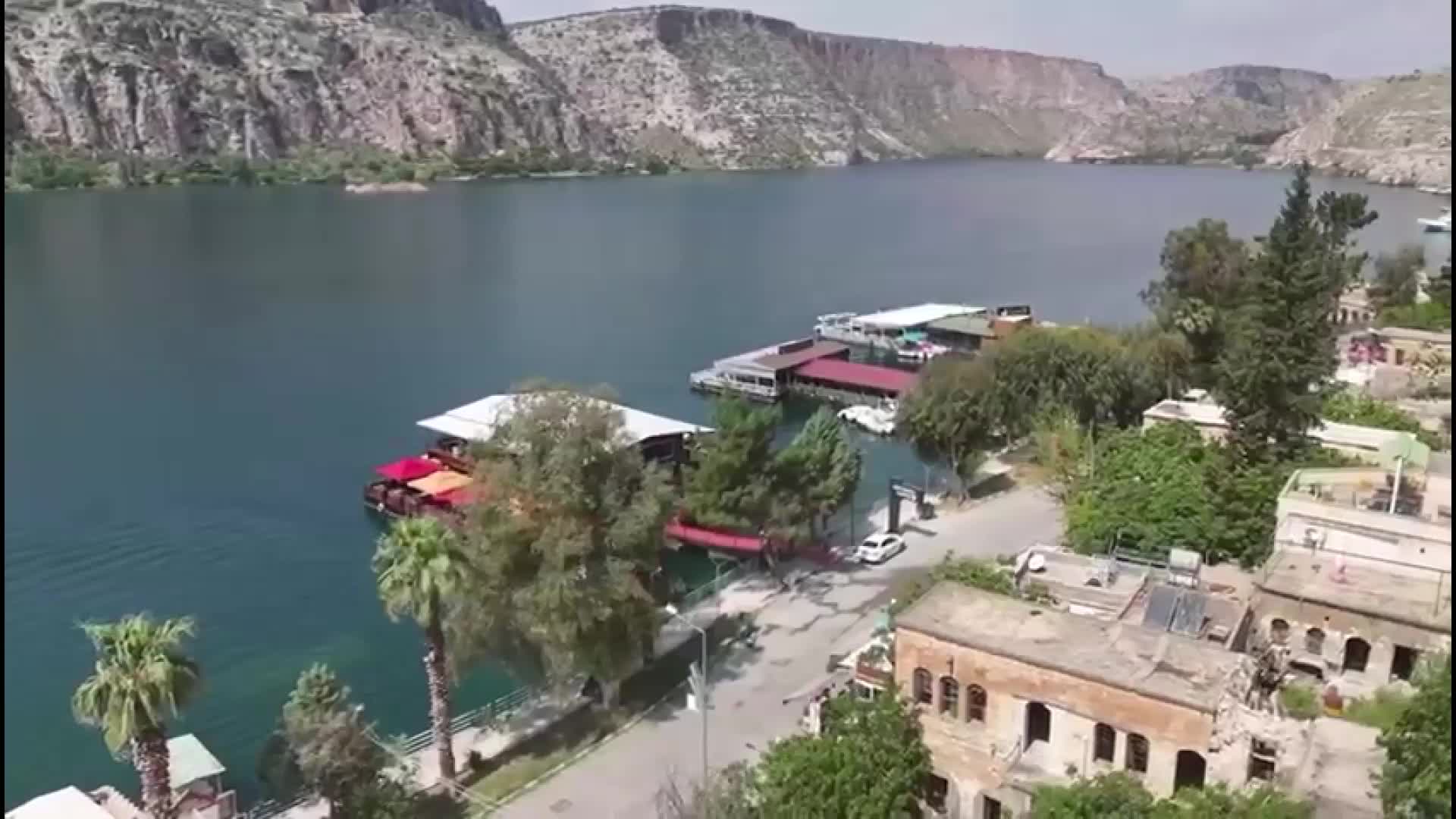 Türkiye'de sadece Halfeti'de yetişen karagül çiçeğinin hasadı başladı