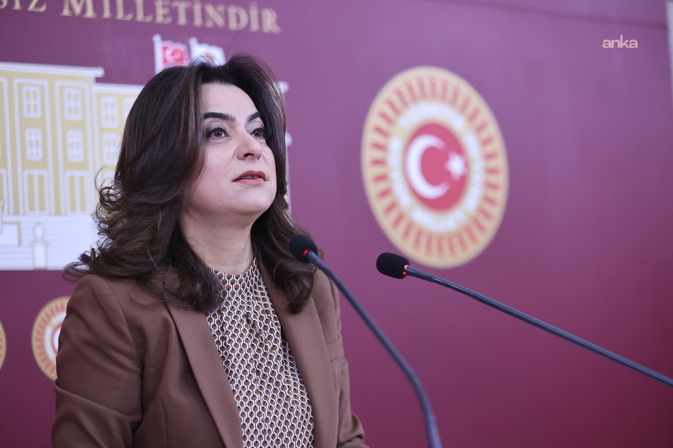 DEM Parti Grup Başkanvekili Gülistan Kılıç Koçyiğit: TBMM'nin acilen "Barış Yasası" çıkartması gerekmektedir