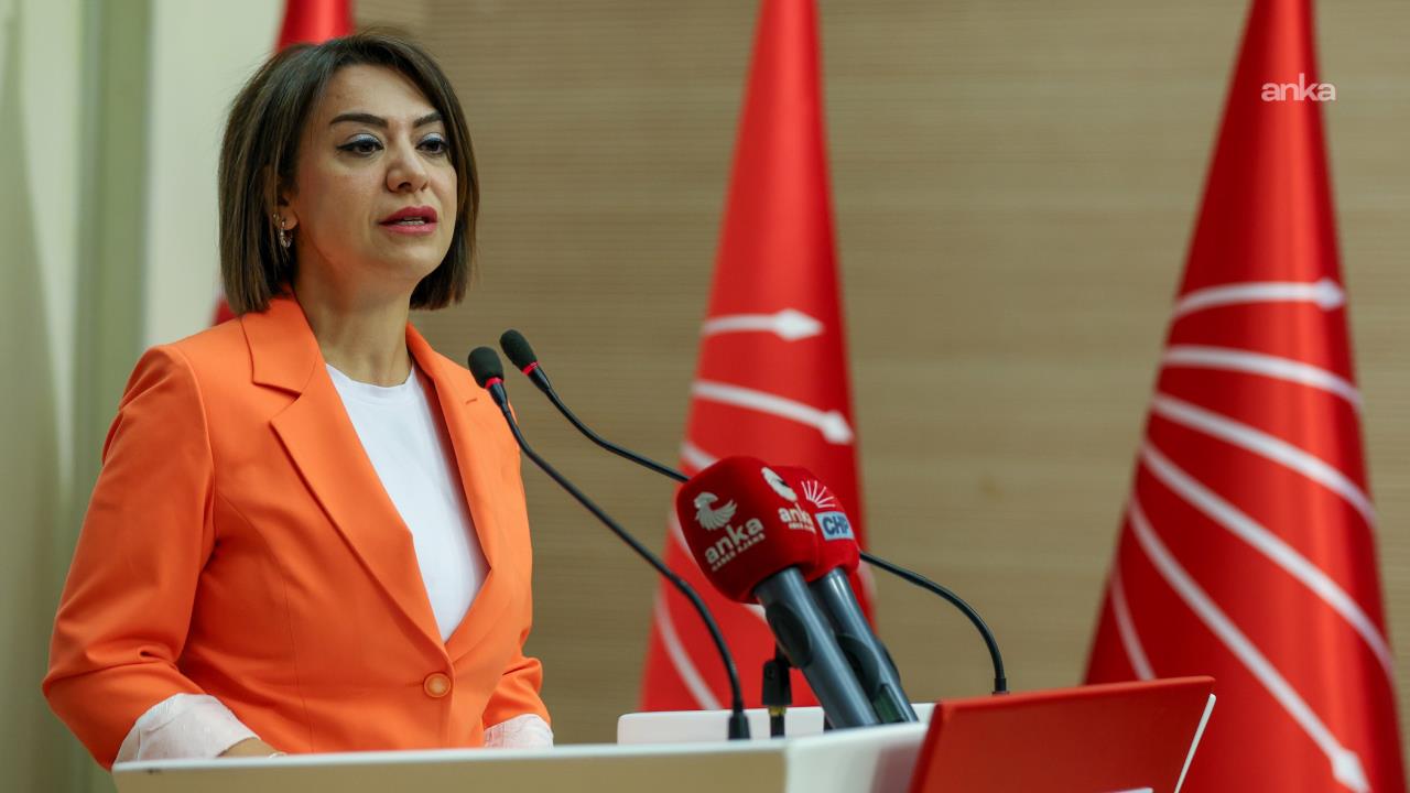 CHP'li Taşcıer: Bütçe siyasal tercihtir; mesele para değil, kimin için harcandığıdır