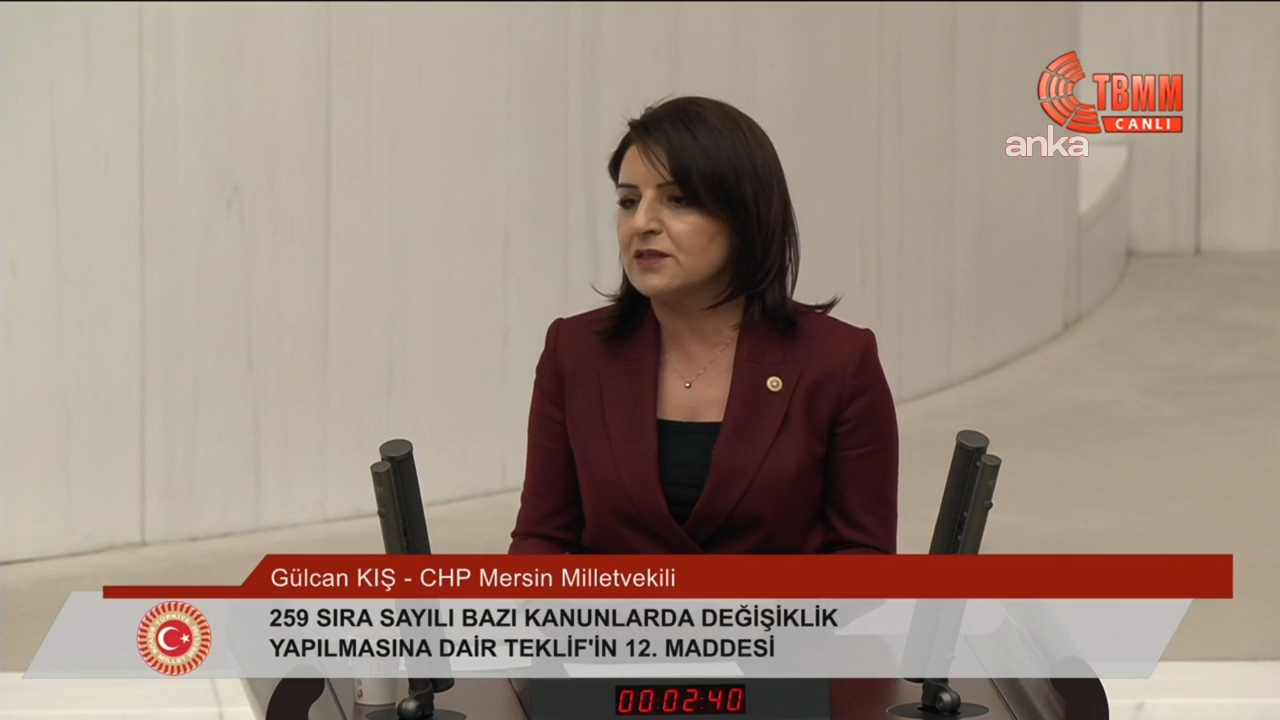 CHP'li Gülcan Kış: Depremzedelerin evi üzerinden bütçe açığını kapatmaya çalışırken 'indirim yaptık' diyorsunuz
