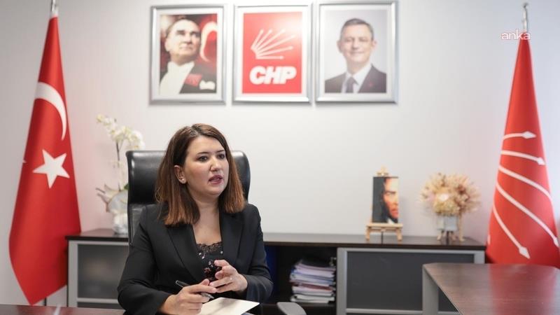 CHP'li Gökçe Gökçen: Ara seçim yapıp yapmamak iktidarın takdirinde değil, anayasal zorunluluktur