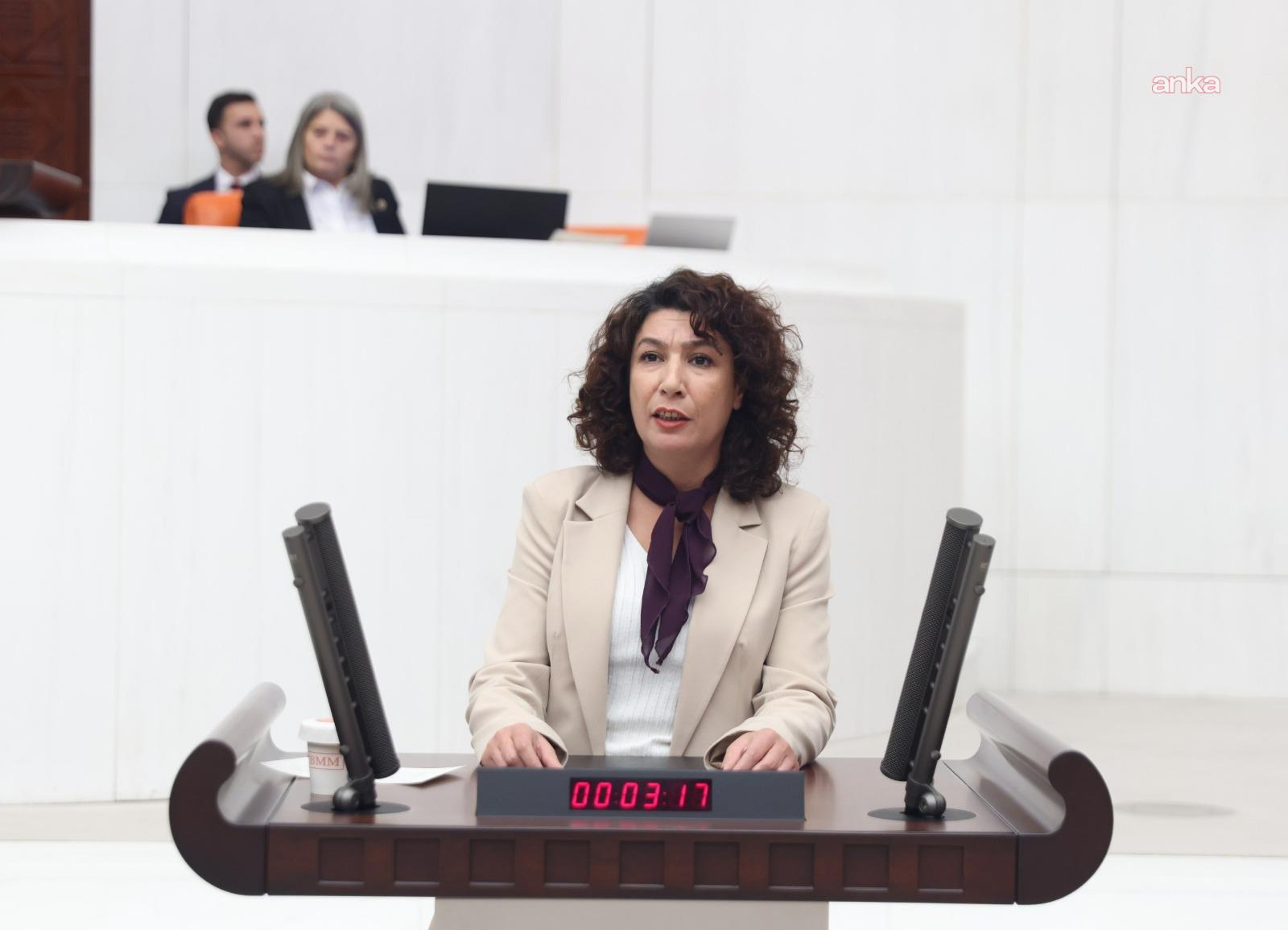 DEM Parti Kadın Meclisi Sözcüsü Halide Türkoğlu'dan doğum izni düzenlemesine tepki: İş yerlerinde ücretsiz kreşler açılmalı