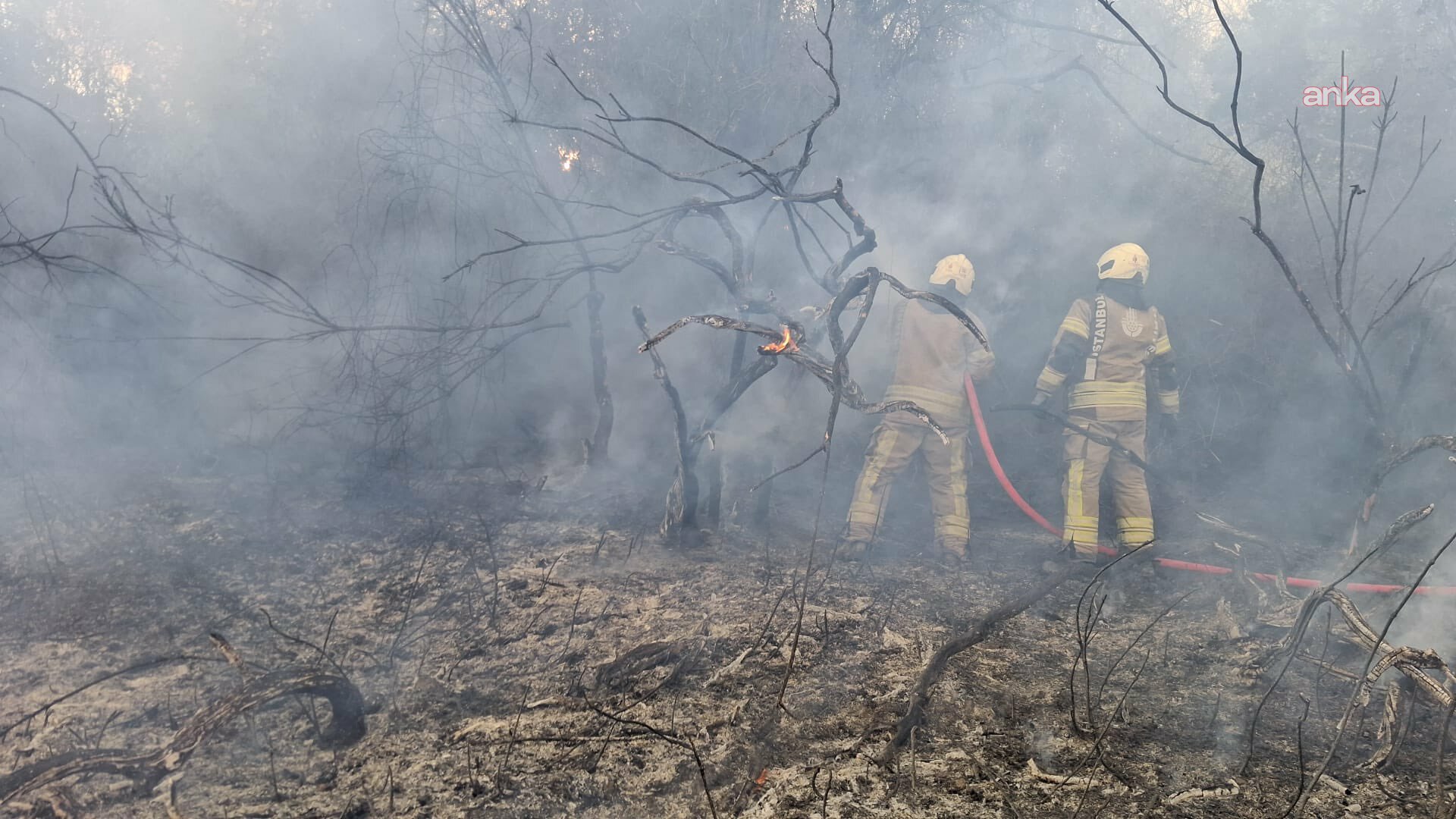 İstanbul Valiliği: Beykoz'daki orman yangını yeniden kontrol altına alındı