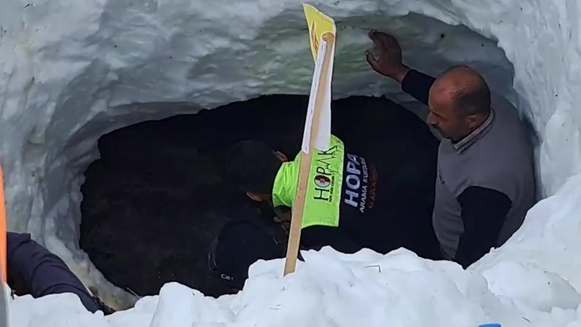 Artvin'de 31 Aralık'ta çığ altında kalan çoban Bülent Gezer'i arama çalışmalarına ara verildi