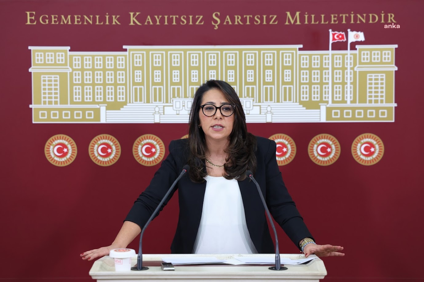 Sera Kadıgil, Uşak’taki Sevgi Evleri’ne ilişkin iddiaları Meclis gündemine taşıdı